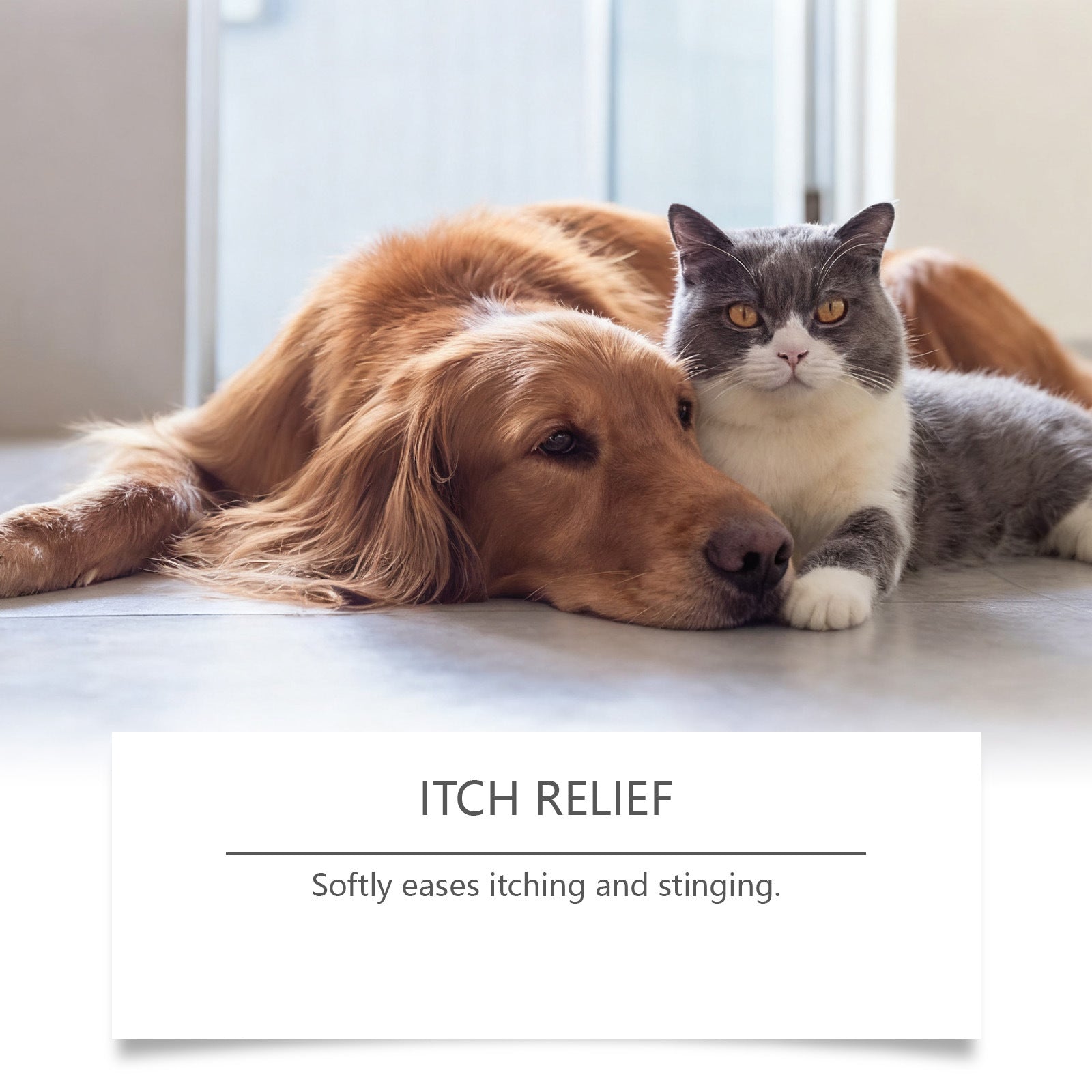 Pet Hydro Gel