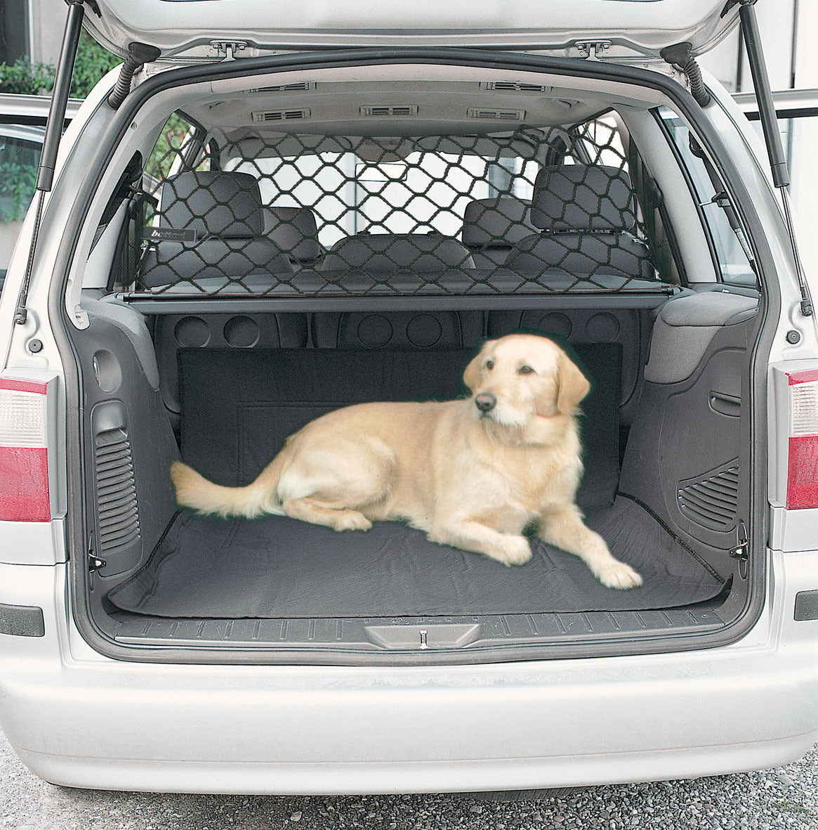 Car pet isolation network