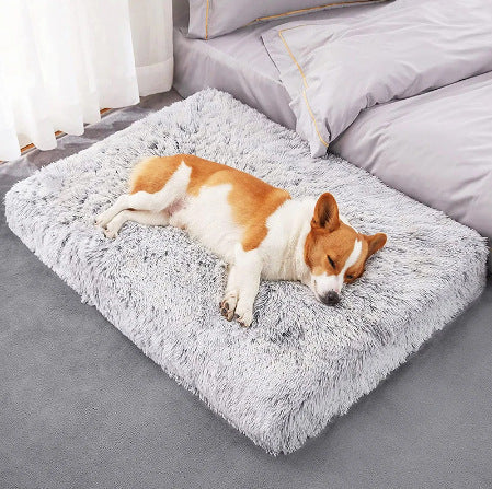 Plush Square Pet Bed / Wave Memory Foam Sofa
