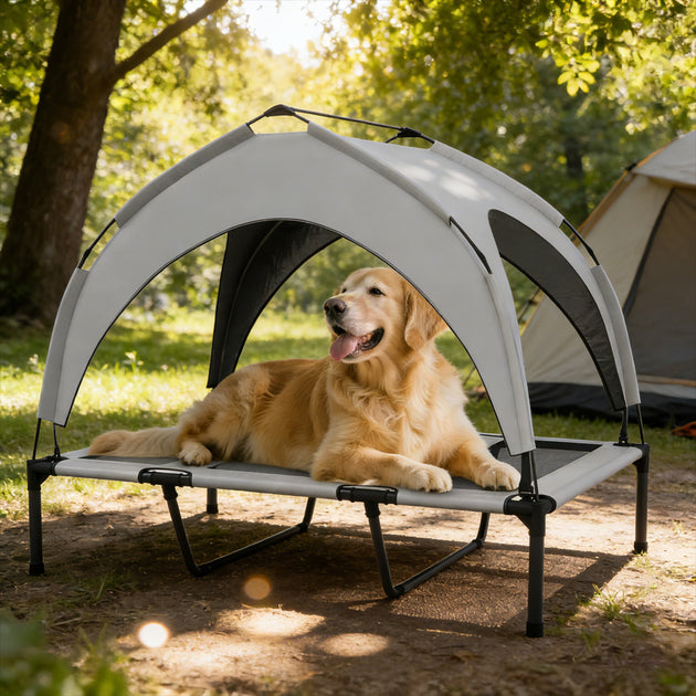 Elevated Dog Bed With Canopy, Raised Outdoor Pet Bed For Camping With Washable Breathable Mesh, 42'' X 30'' X 3'' , Tiktok