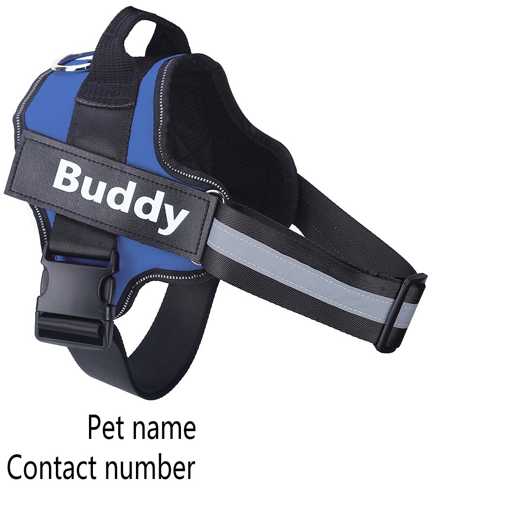 No-Pull Personalized Harness