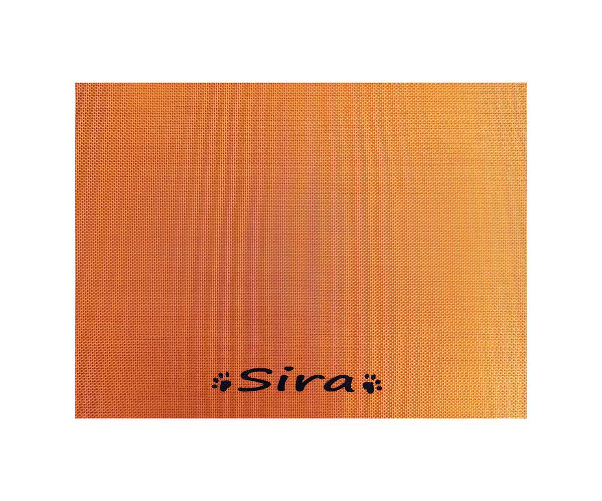 Printable Name Cat Dog Universal Pvc Placemat Pet