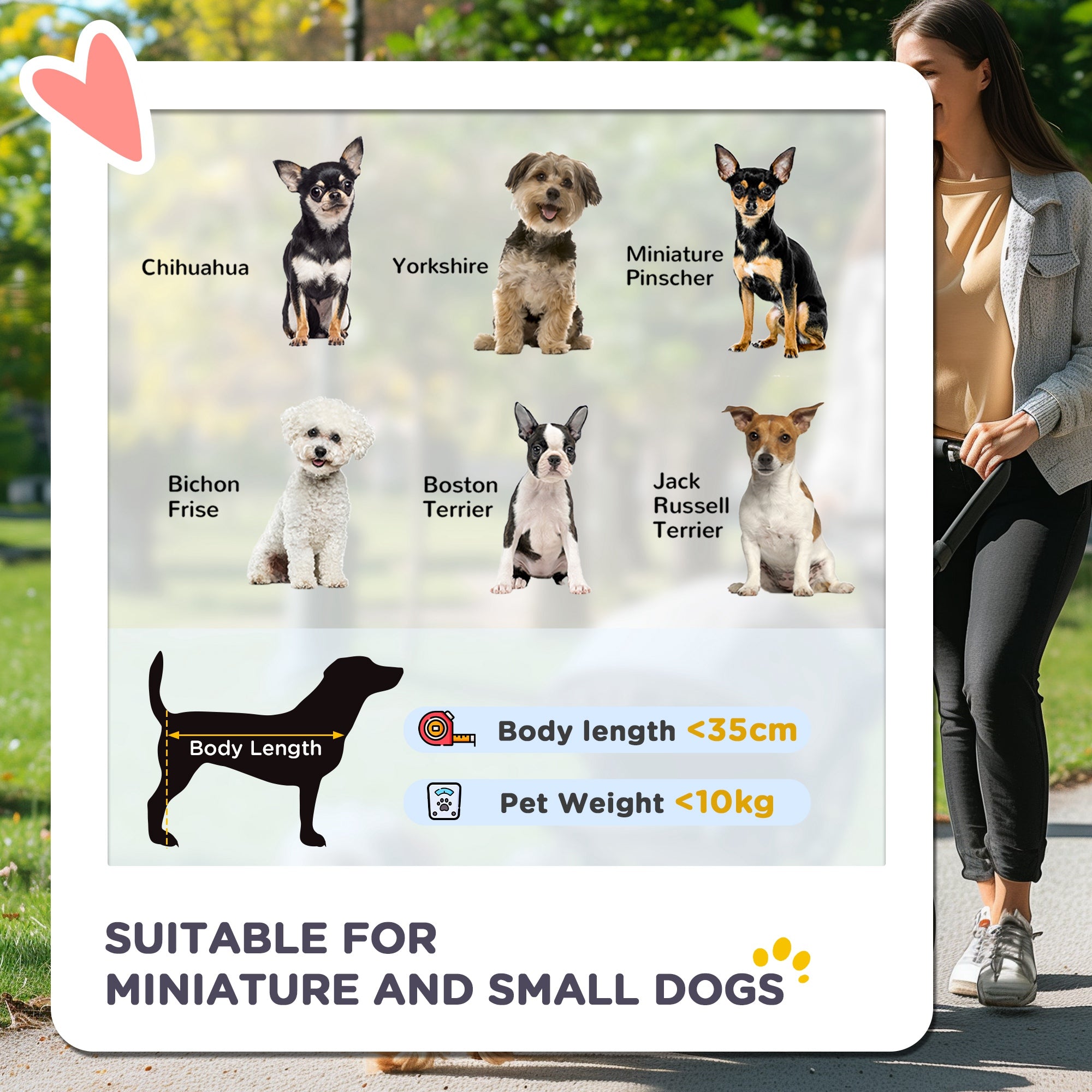 PawHut 3 Wheel Pet Stroller For Small And Miniature Dogs, Blue