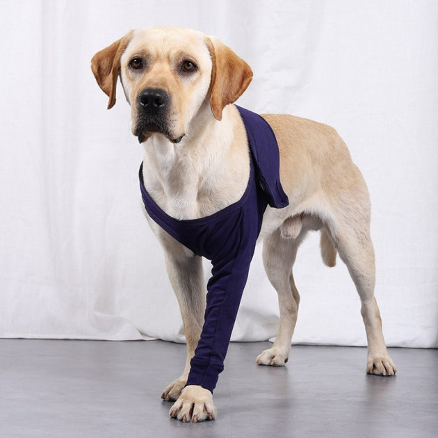 Pet Protector Knee Protection Cover
