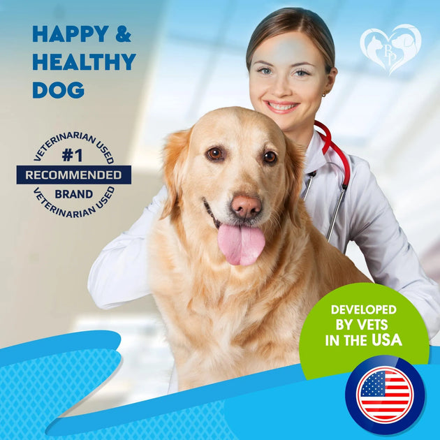 Kennel Cough Treatment Natural Infection Medicine For Dogs And Cats Respiratory Colds Cough Relief Collapsed Trachea And Cat Asthma Support