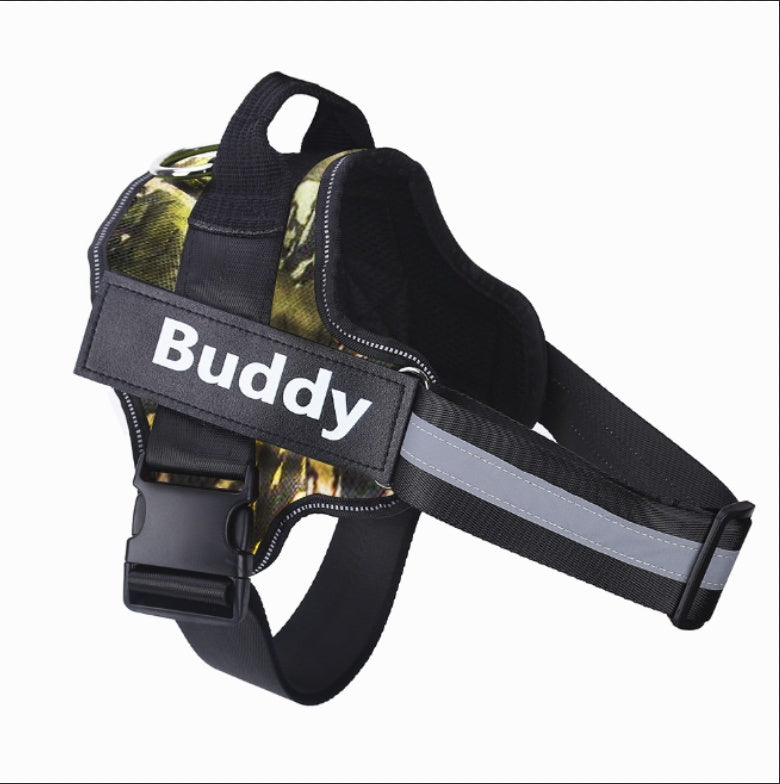 No-Pull Personalized Harness