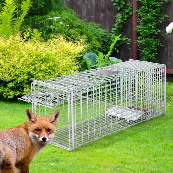Live Animal Trap Cage 37x14x15in Folding Catch And Release Humane Cat Trap Galvanized Iron For Raccoons Foxes Coyotes Stray Dogs Armadillos Squirrels