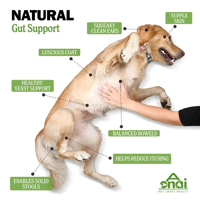 OEM Hot Sales Probiotics Chews For Pets Customized Shape