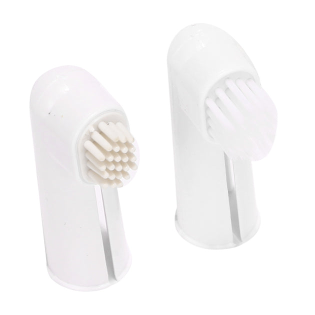 Pet toothpaste toothbrush set