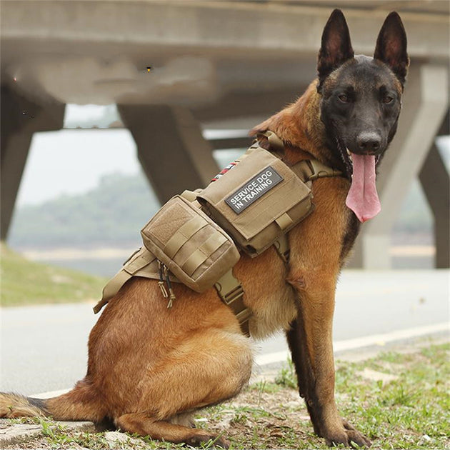 Wild Paws™ Pathfinder™ Tactical Military Vest