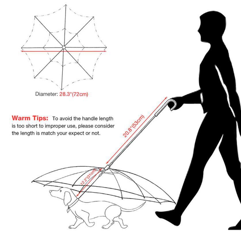 Transparent Umbrella with Removable Leash