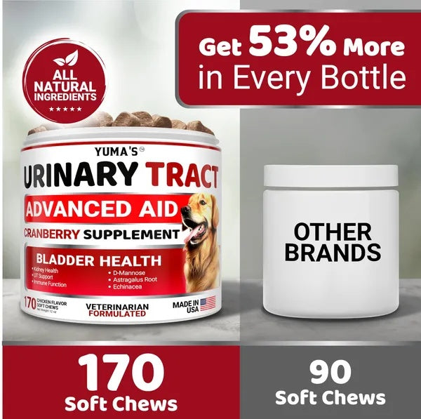 Dog UTI Treatment 170 Treats Cranberry Supplement For Dogs Bladder Control For Dogs