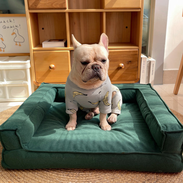 Fashion Detachable And Washable Sponge Pet Bed