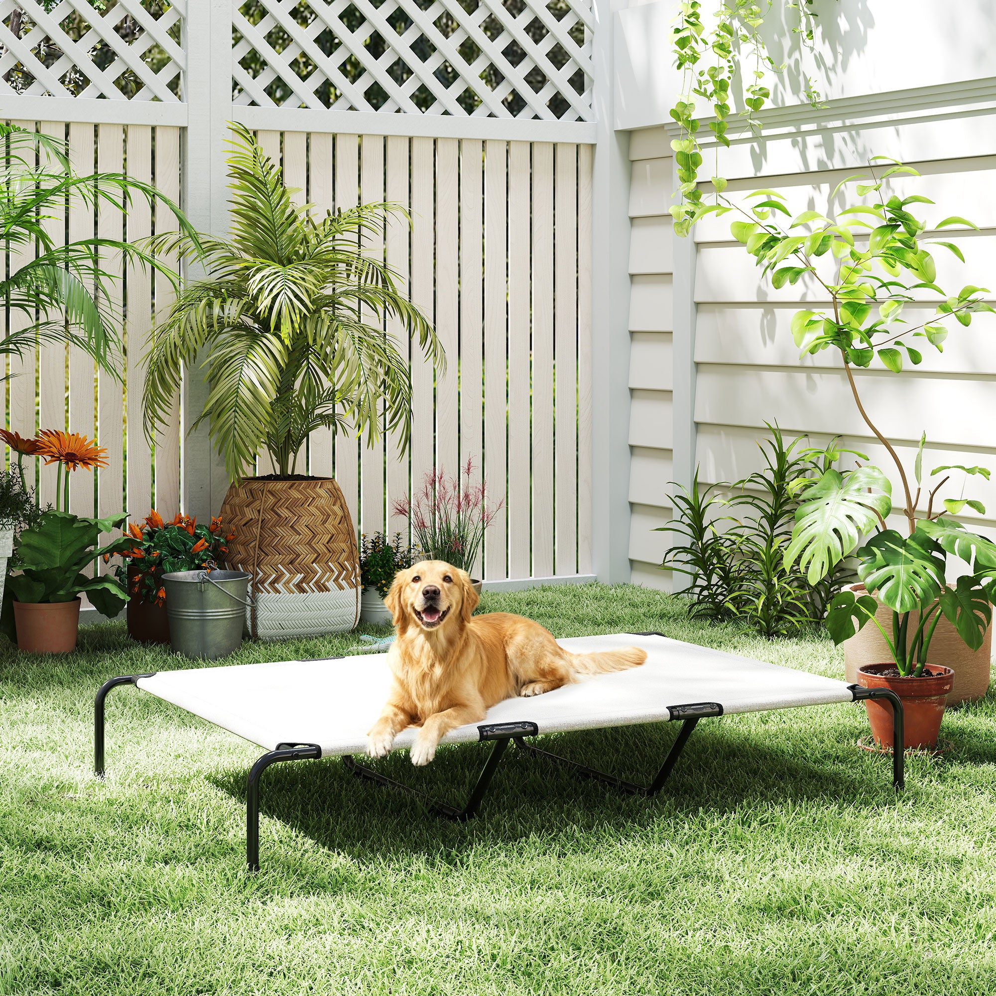 Elevated Dog Bed for Large Breeds Beige 60"L