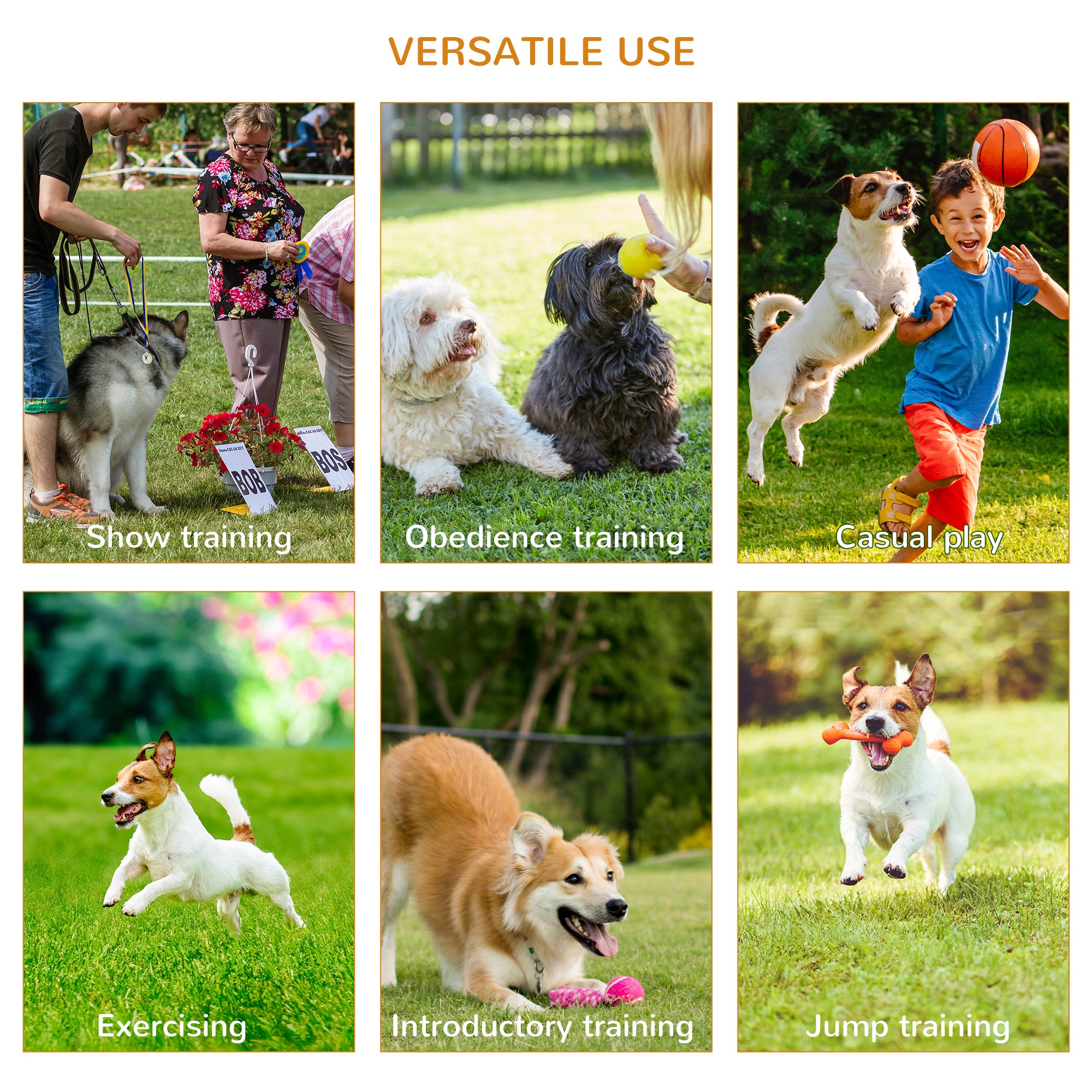 Pawhut Dog Agility Equipment Portable Pet Training Obstacle Set For Dogs 5 Pieces W/ Adjustable High Jumping Pole, Jumping Ring, Weave Poles, Tunnel