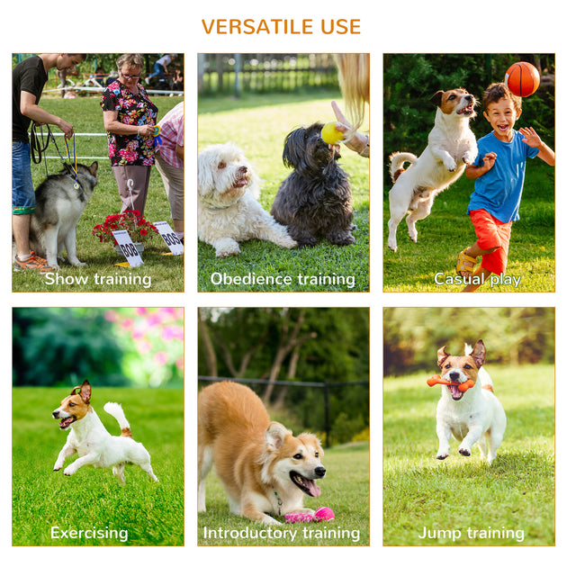 Pawhut Dog Agility Equipment Portable Pet Training Obstacle Set For Dogs 5 Pieces W/ Adjustable High Jumping Pole, Jumping Ring, Weave Poles, Tunnel