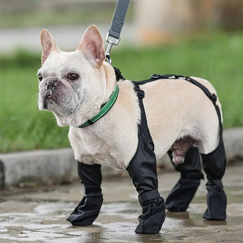 Waterproof Shoes with Adjustable Straps