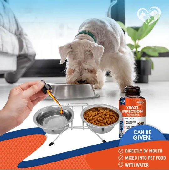 Natural Dog Yeast Infection Anti Itch Treatment Itchy Ears Skin & Allergy Symptoms Relief Reduces Inflammation & Relieves Irritation Herbal Medicine Supplement Drops Made In USA
