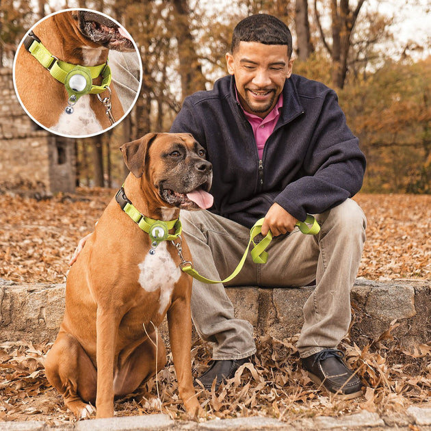Pet Positioning Anti Loss Shell