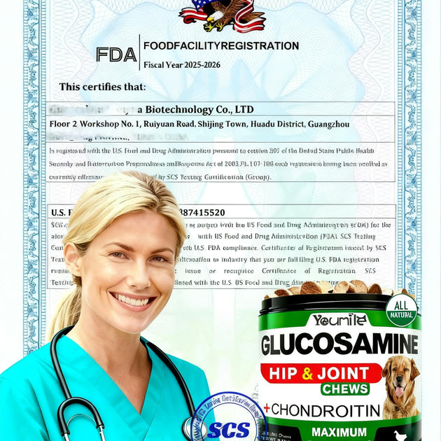 Youmile Hip & Joint Health Supplement For Dogs 120 Chews, Glucosamine Chondroitin MSM Dog Chews With Hyaluronic Acid, Liver Flavored Bone & Joint Support Supplement, For All Breeds