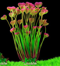 95c9cb7c22440c2bd92481f58e184ea5