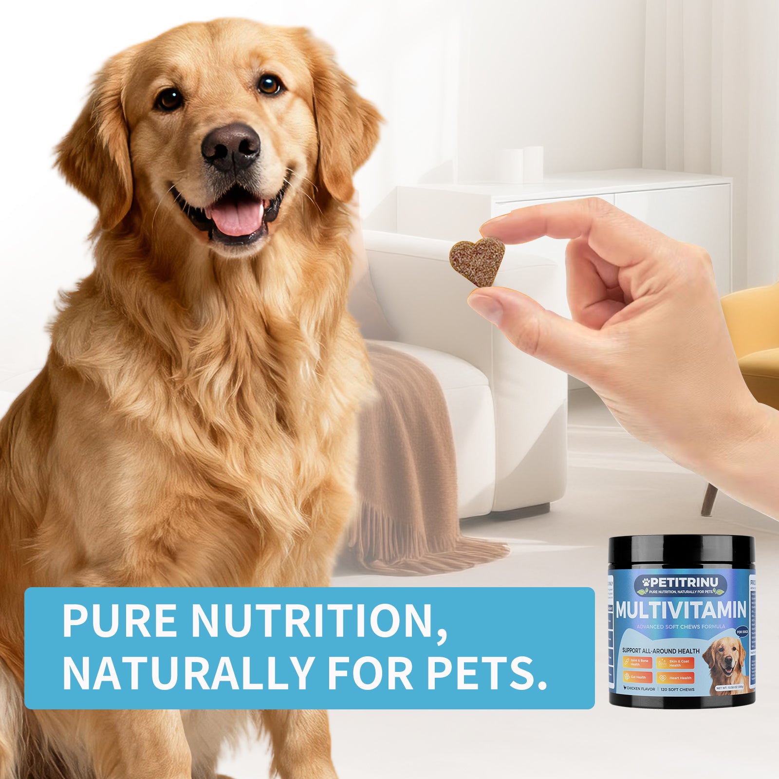 PETITRINU Dog Multivitamin Soft Chews, Chicken Flavor 120 Count, Support Joint & Bone, Skin & Coat, Gut, Heart All-Around Health For Dogs