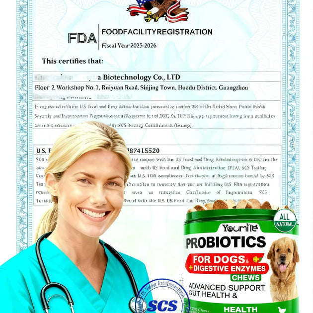 Youmile Probiotics For Dogs Soft Chews For Seasonal Allergies, Gut, And Digestive Health. Vet-Reviewed, Premium-Quality Ingredients - Supplements Dog  Vitamin Hip  And  Joint  Supplement