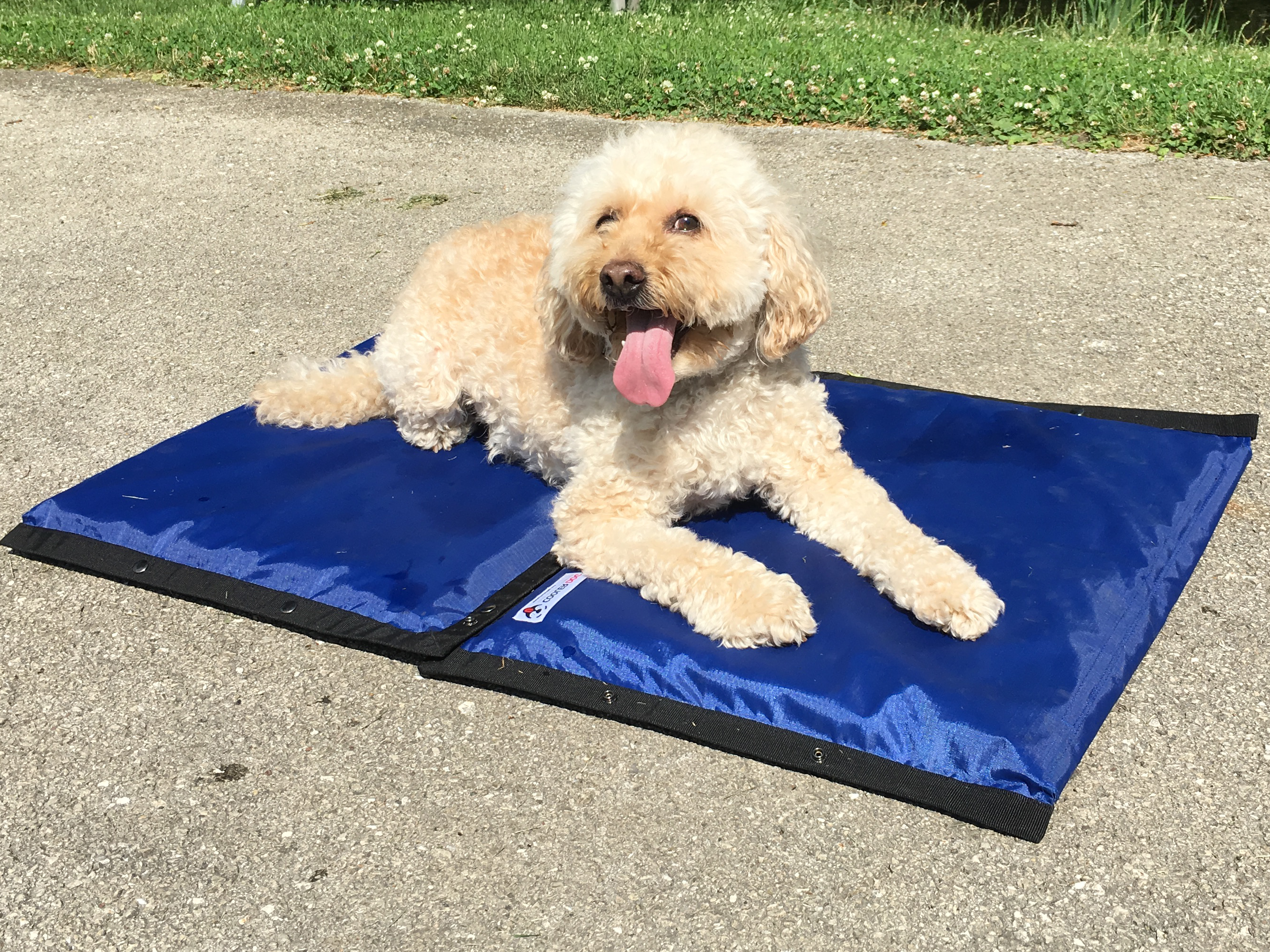 Dog Cooling Mat (Truck/Trailer Use)