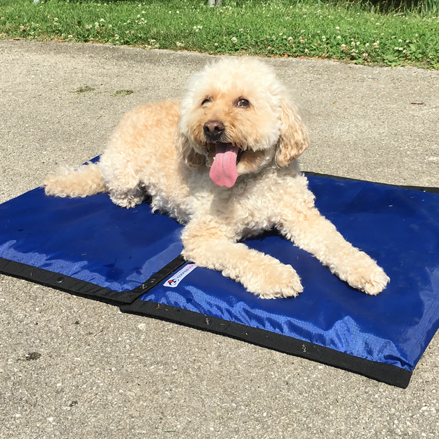 Dog Cooling Mat (Truck/Trailer Use)