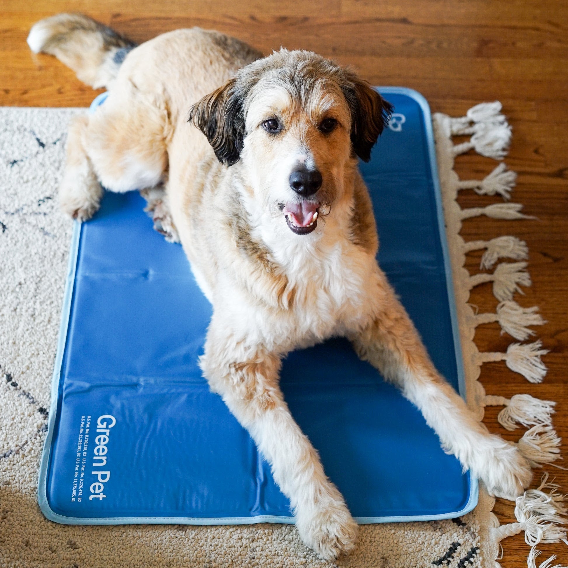 Dog Cooling Mat (Truck/Trailer Use)