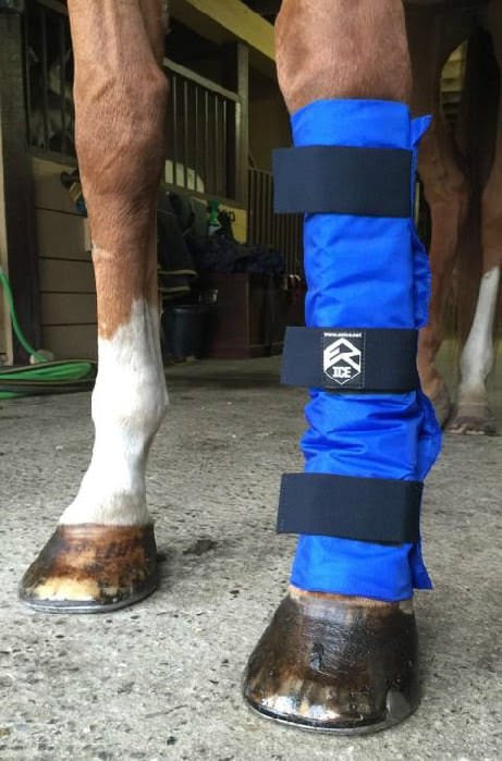 Horse Cooling Leg Wraps