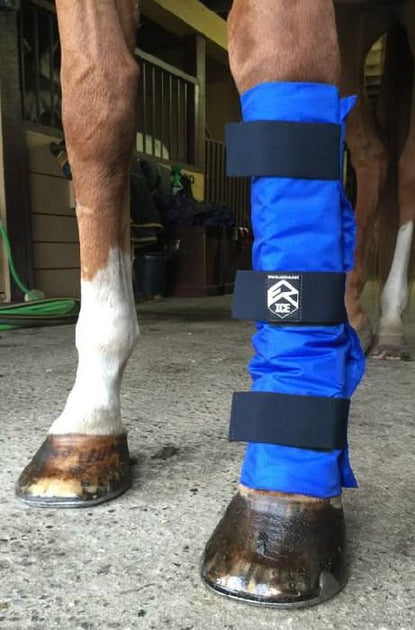 Horse Cooling Leg Wraps