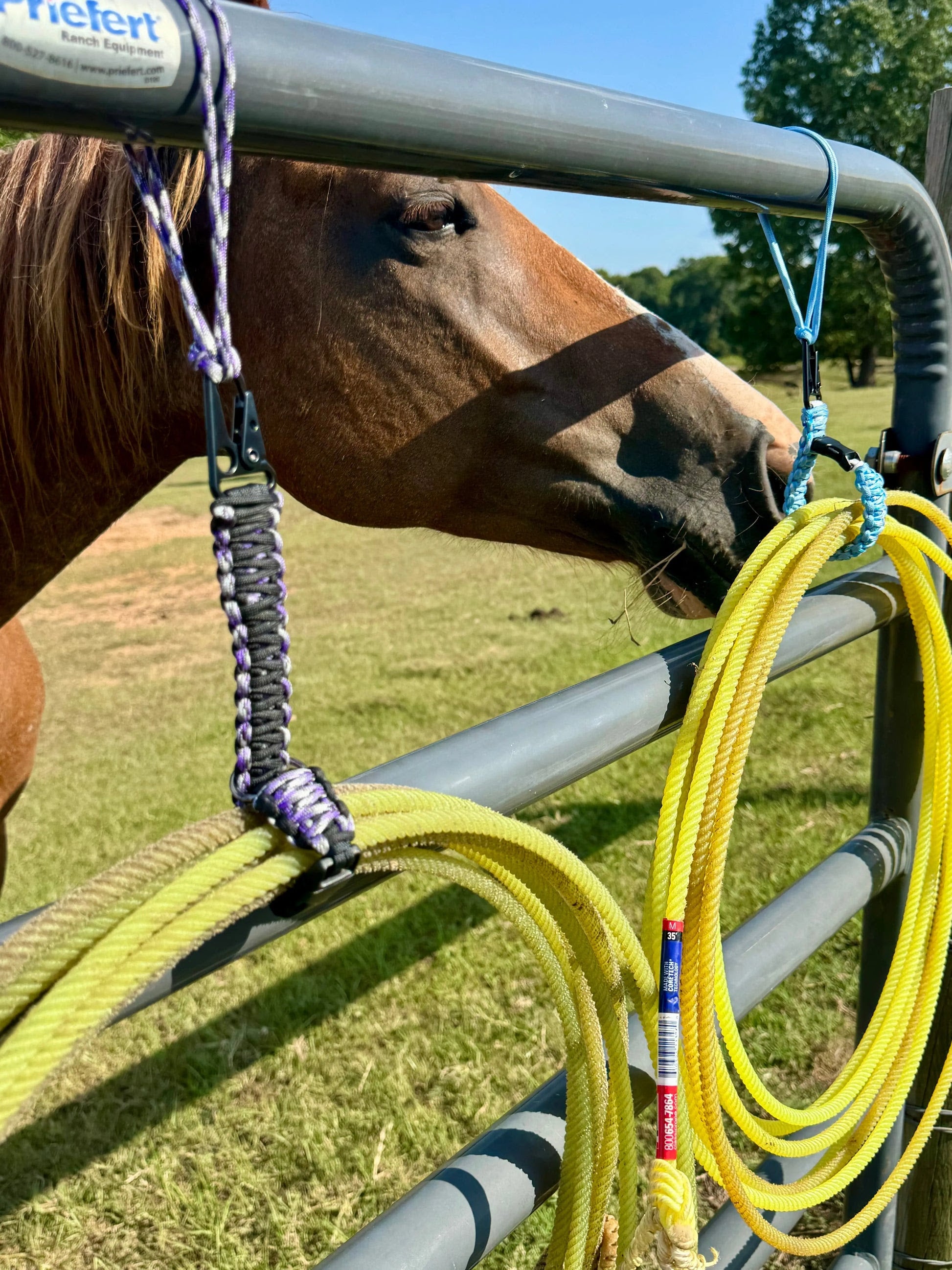 Horse Cooling Leg Wraps