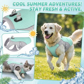 Portable Dog Water + Feeding Kit