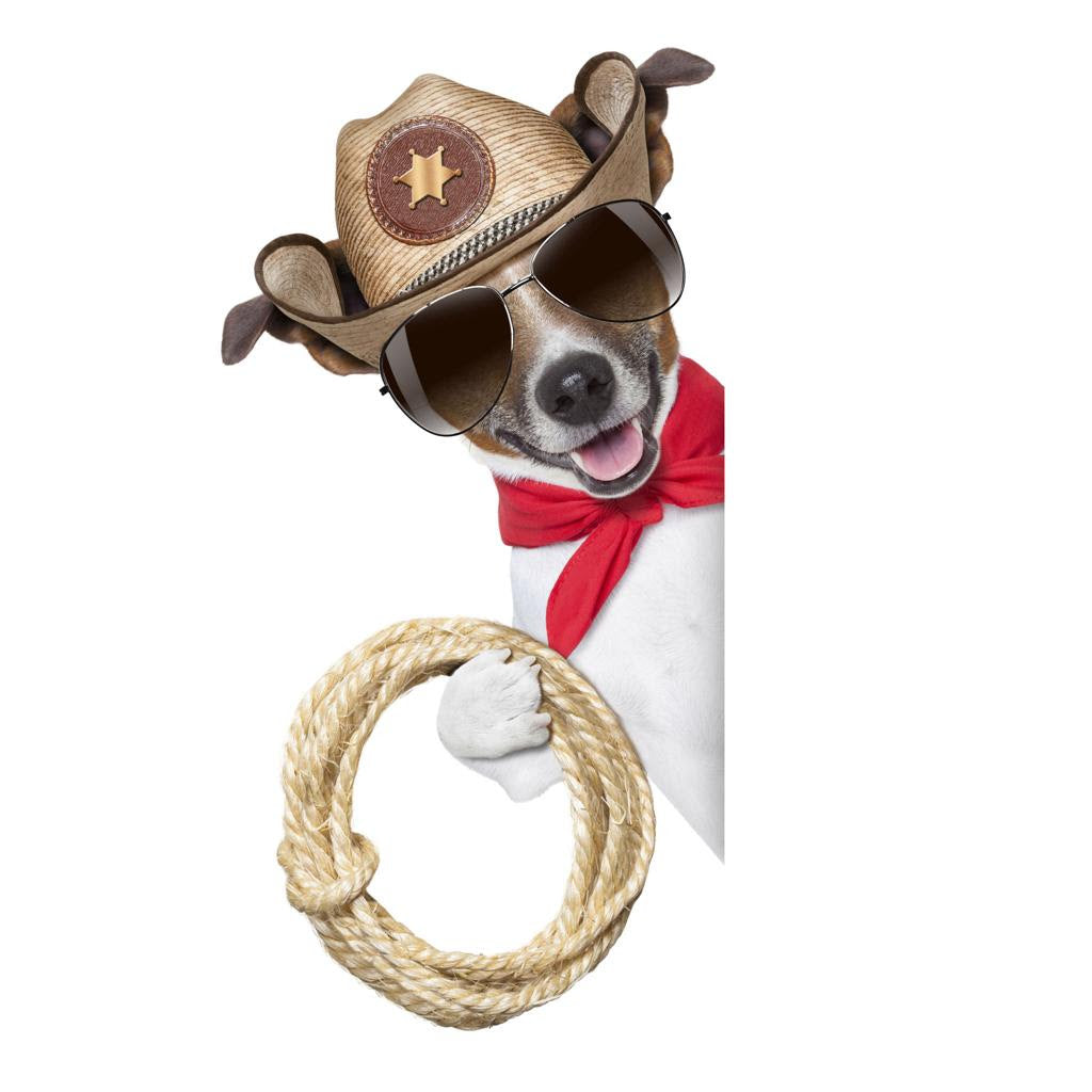 Western Dog Bandanas