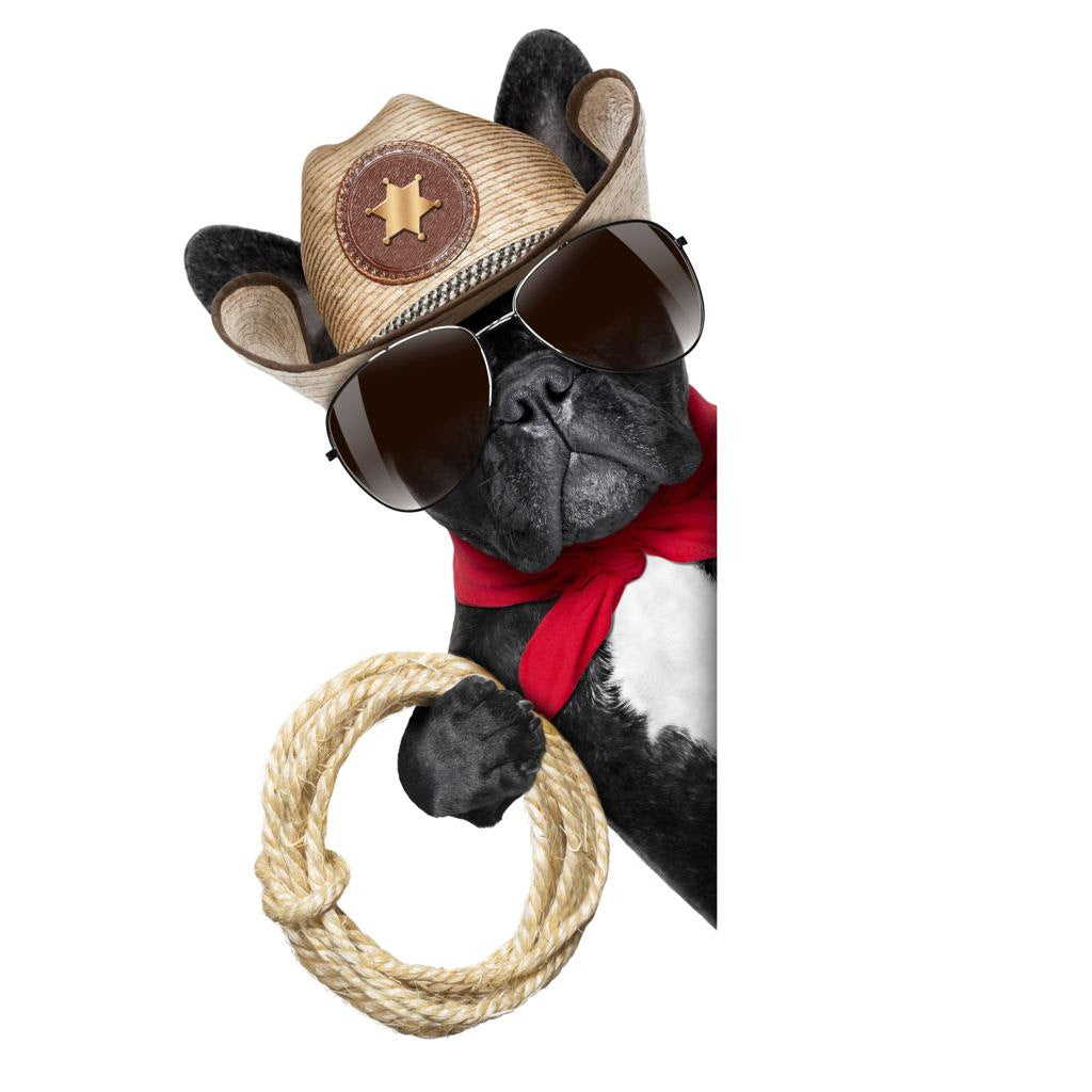Western Dog Bandanas