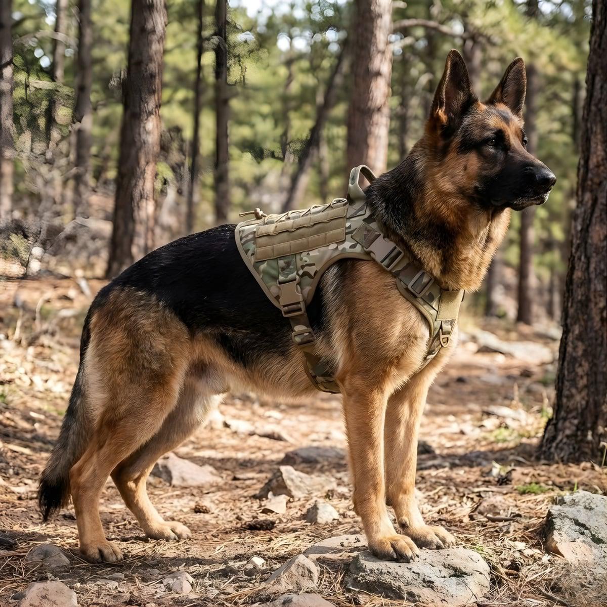 Wild Paws™ K9 Operator Tactical Harness