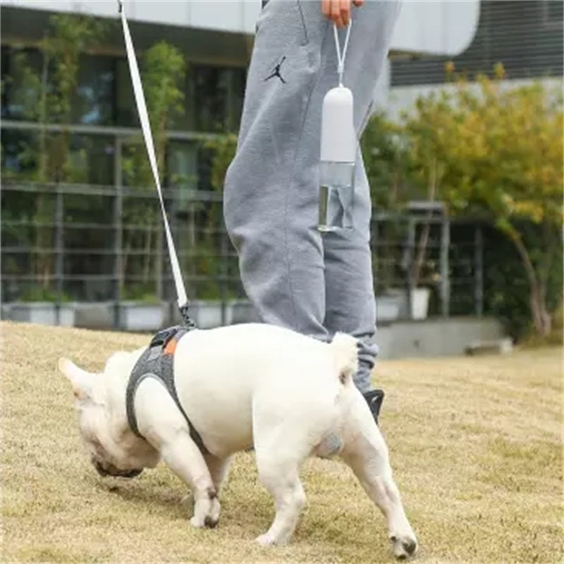 Pet Outdoor With Water Cups Out Walking The Dog Portable
