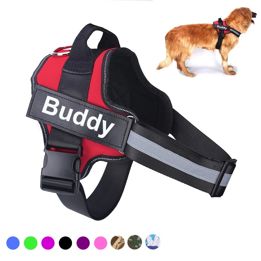 No-Pull Personalized Harness