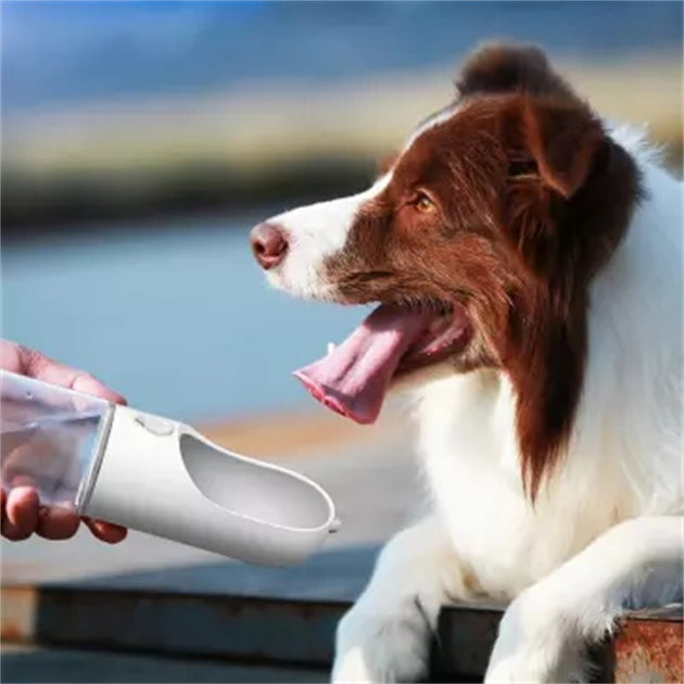Pet Outdoor With Water Cups Out Walking The Dog Portable