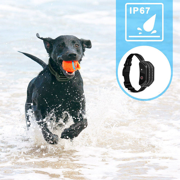 Electric Pet Dog Training Collar Shock Anti-Bark Electronic Remote Rechargeable