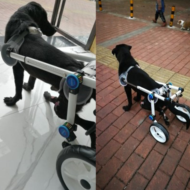 Cat-assisted Teddy Pet Dog Hind Leg Brace