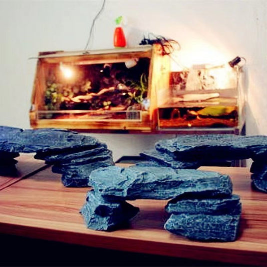 Natural Seiryu Stone Turtle Platform
