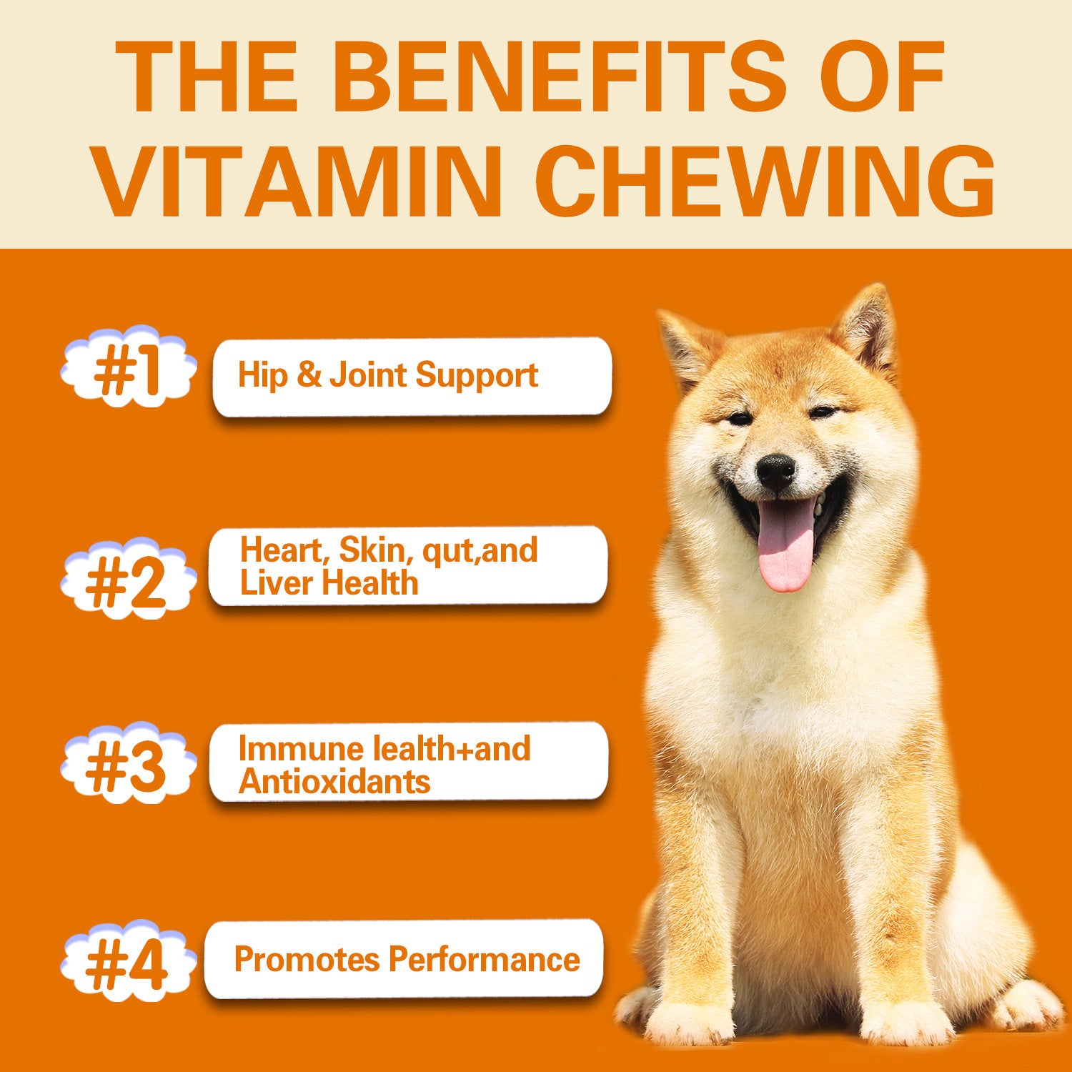 Multifunctional Vitamin Supplement