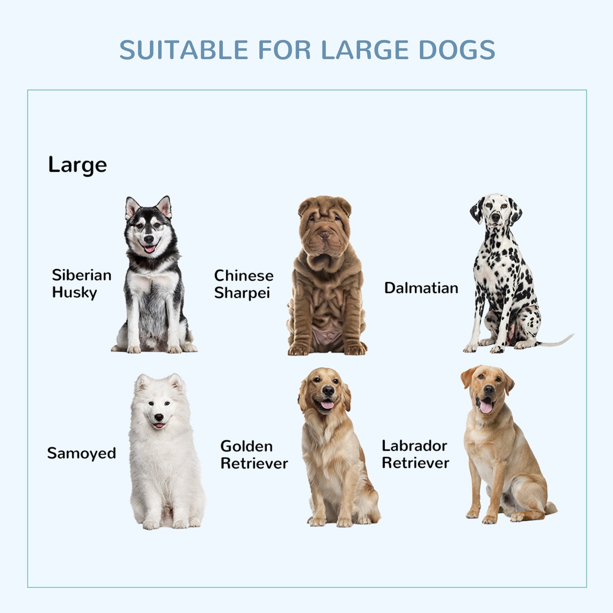 36" Heavy Duty Dog Crate with Removable Tray, Lockable Wheels and Double Door, for Medium and Large Dogs, Black