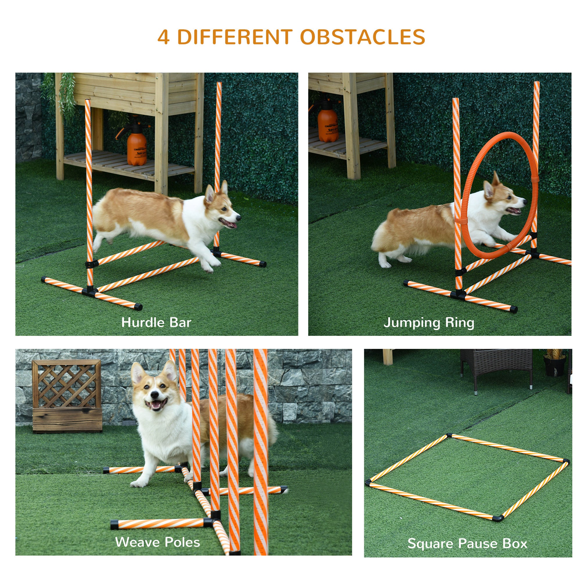 PawHut Dog Agility Equipment Pet Training Set With Adjustable Height Jump Ring Hurdle Whistle Weave Poles Square Pause Box Carry Bag