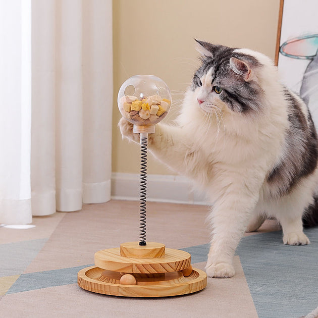 Pet Cat Educational Toy Leaking Ball