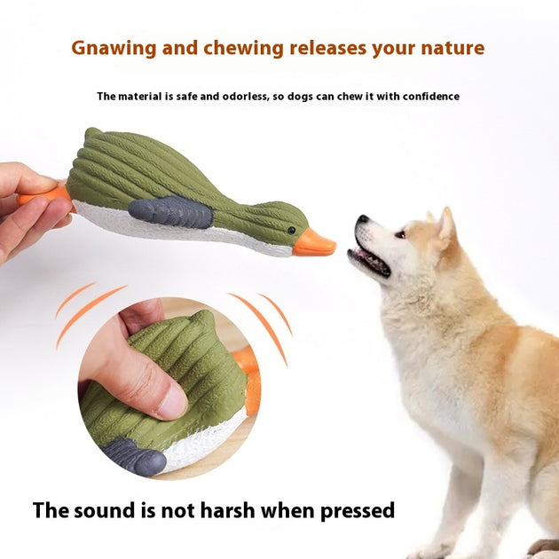 Pet Molar Long Lasting Latex Sounding Toy