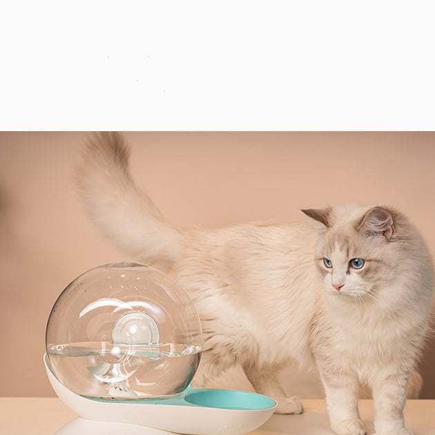 Bubble Cat Automatic Drinking Fountain Drinking Fountain Pet Drinking Fountain