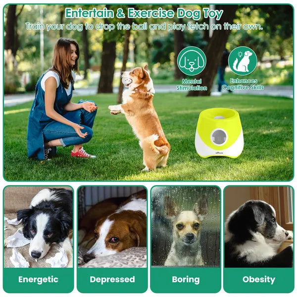 Automatic Dog Ball Launcher Rechargeable Interactive Pet Ball Thrower For Small Medium Dogs Interactive Dog Fetch Toy With 3 Adjustable Distance Settings (6m/10m/14m) 6Pcs 2.3in Balls